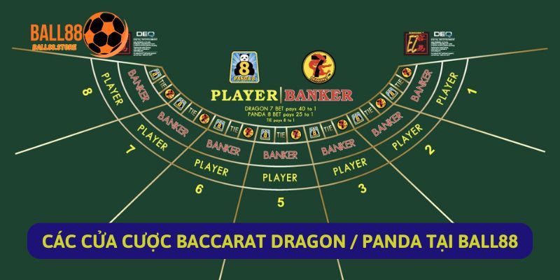 Baccarat Dragon / Panda: Những Thông Tin Cần Nắm Trước Khi Chơi 5 Các Cửa Đặt Cược Baccarat Dragon / Panda Tại Ball88
